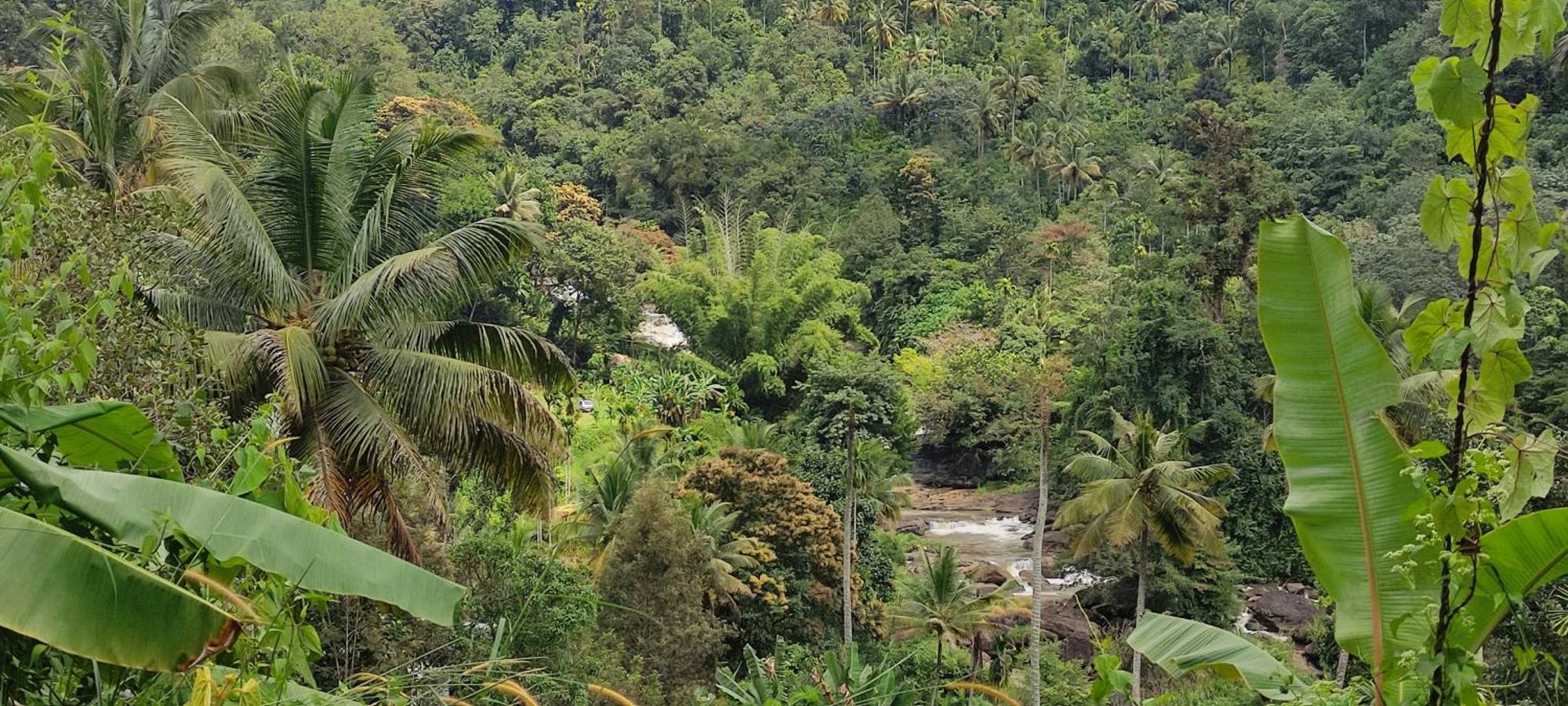 Munnar Village Homes Exterior photo