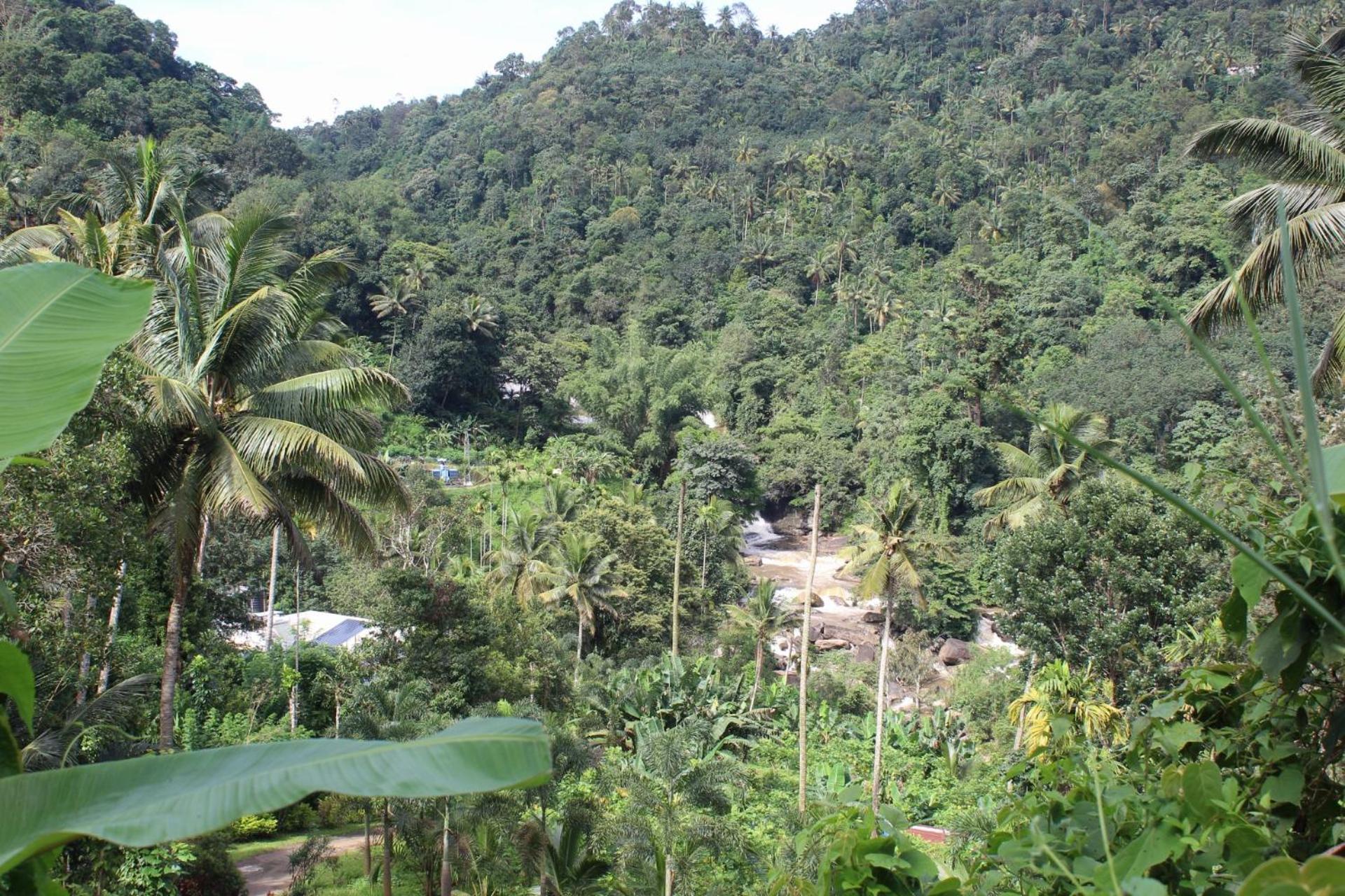 Munnar Village Homes Exterior photo